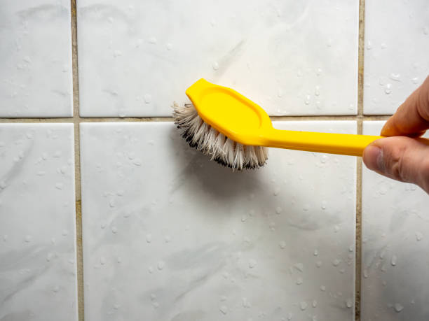  Seabrook, TX Mold Removal Pros