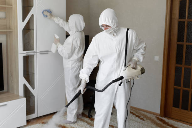 Best Mold Removal and Inspection  in Seabrook, TX