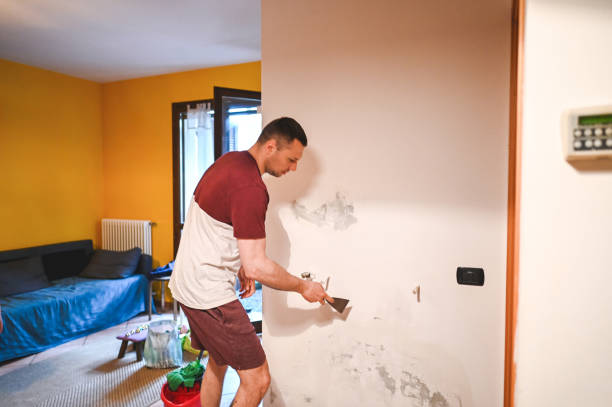 Trusted Seabrook, TX Mold Removal Experts